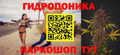 jwh Ярославль