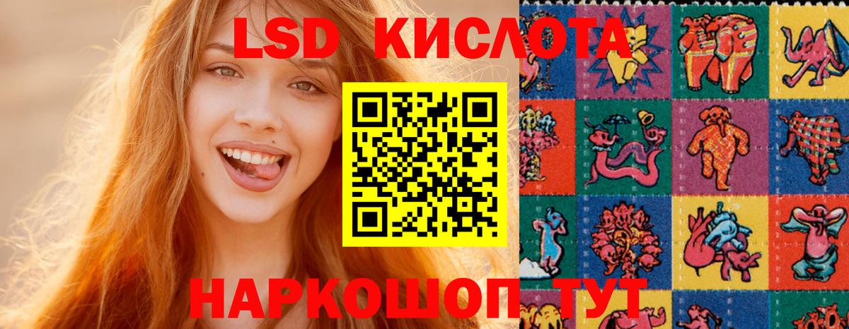 Камень-на-Оби  Лсд 25 экстази ecstasy  Вход с VPN  LSD-25 экстази ecstasy 
