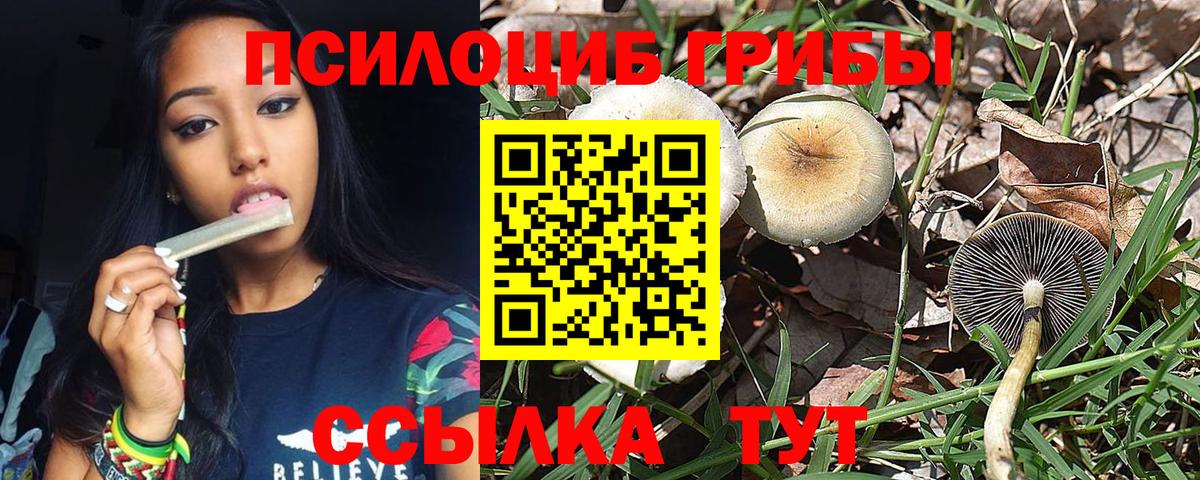 Галлюциногенные грибы MAGIC MUSHROOMS Камень-на-Оби