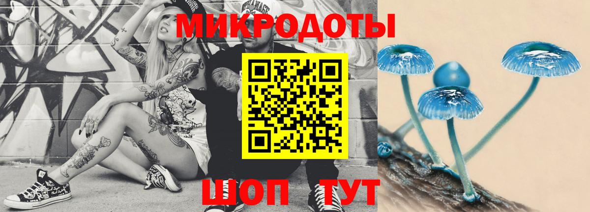 наркотики  Вход с VPN  Псилоцибиновые грибы мицелий  Камень-на-Оби  Галлюциногенные грибы Psilocybine cubensis 